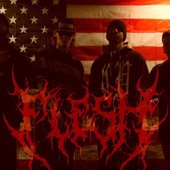 Flesh (usa).jpg