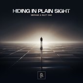 Hiding In Plain Sight