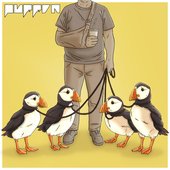 Puffin