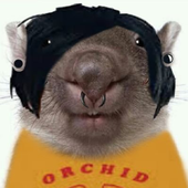 Avatar for suchymbombo