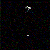 6998_3.jpg