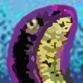 Avatar for androidgeoff