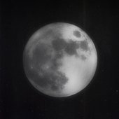 White Moon
