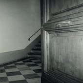 The Moth
