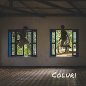 Coluri