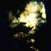 From The Dark