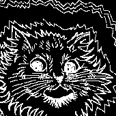 Avatar for silentmessenger