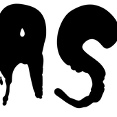RASH US CA LOGO.png
