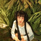 MOA