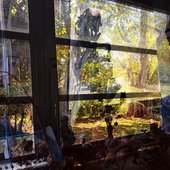 Outside