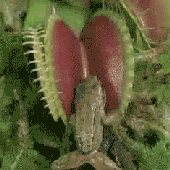 Avatar for pseudokromatik