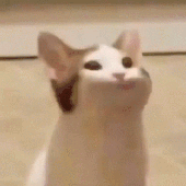 Avatar for breadcheeks