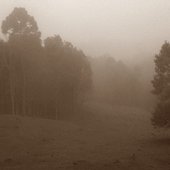 Into the Solitude - Single