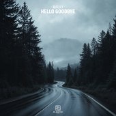 Hello Goodbye - Single