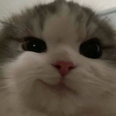 Avatar for hygxr