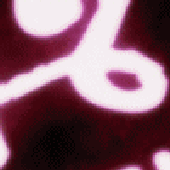 Avatar für Jacques18