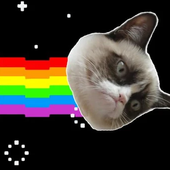 Avatar for grumpylama
