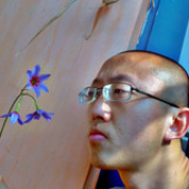Avatar di schizomind