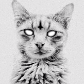 yattering666 için avatar