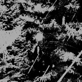 Turpitude Bandcamp Picture