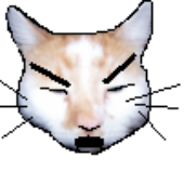 Avatar for bottomXwarrior