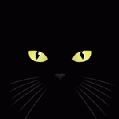 Avatar for M-Katt
