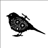 Avatar for gilli_dy