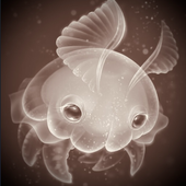 Taiwan- için avatar