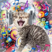 Avatar für uhchae
