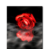 Avatar for Anthea_19