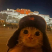 Avatar di fymkyoto