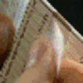 Avatar for LastSiwa