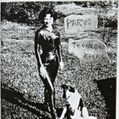 Parvo Teenage Kicks