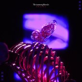 Metamorphosis EP - Single