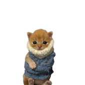 Avatar di sirsanwik