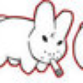 Awatar dla 2Rocky