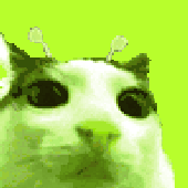 Avatar for itsjustrayray