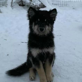 Avatar for cheeseburgerlex