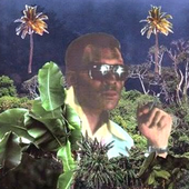 Avatar de frenchdad