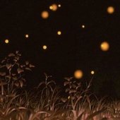 IMG_4356.jpeg