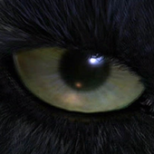 Avatar for Zarathustra87