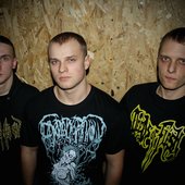 Voracity 2012