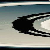 rob waters logo