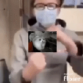 Avatar di zyxsu