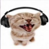 Avatar for meli_smeli