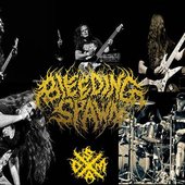 Bleeding Spawn (Band)