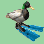 Avatar for PlayBack