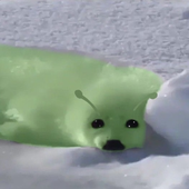 Avatar für Liilac_