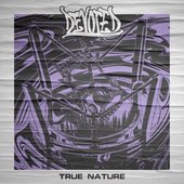 True Nature