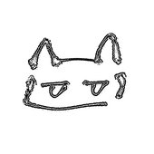 avatars-8zxQGQKQsZz8cZkP-NzT9fg-t500x500.jpg